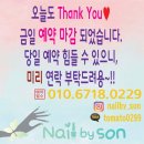 네일바이손