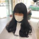 몽브라운