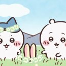 조아조아 이미지