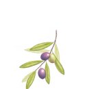 색연필 식물 세밀화 이미지