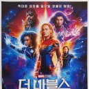 (주)마블스 이미지