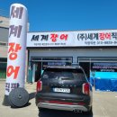 주 세계장어 이미지