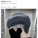 갤러리헤어 이미지