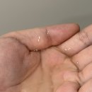 샴푸미용실 - 영광군 천년로11길 37 | 모두루 미용실클리닉샴푸 후기, 푸석한 머릿결과 두피 열감까지 산뜻하게 케어한 쿨링샴푸