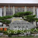 광양청사진 이미지