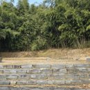 서재필박사 본가지 이미지