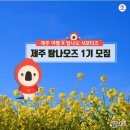 ㈜우수렌트카 | #제주여행 탐나오즈 서포터즈 1기 모집 도전!!