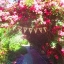 천하태평 이미지