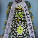 성애플라워 이미지
