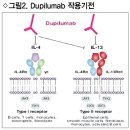 치료 시 국소 코르티코스테로이드와 병용 가능 듀피젠트 프리필드주(Dupixent prefilled inj.) 이미지