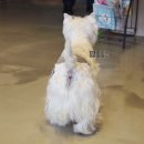 테리몽하우스 이미지