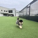 레인바우 이미지