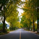 삼거리슈퍼식당 이미지