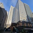 하이에이비에이발달센터 | <2025년 일본여행 총정리> 올해의 일본여행 총정리, 1월도쿄근교온천, 2월홋카이도일주, 3월도쿄벚꽃...