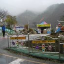 청령포초등학교 이미지