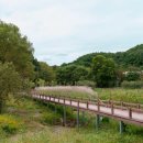 부평생태습지[부평-5] | [남양주 사용설명서] 쉼과 생명의 공간 '부평생태습지'