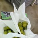 흥인주유소 이미지