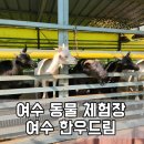 여수 한우드림 아이랑 가볼만한곳 찾아 다녀왔다