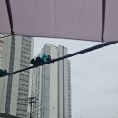 육미제당 인천주안점 이미지