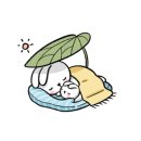 버들글씨디자인연구소 이미지