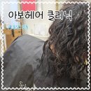 아보헤어