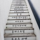 영남대 맛집 1058면 - 연어 덮밥 후기