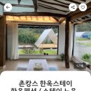 스테이노은 이미지