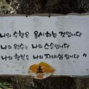 나무의노래