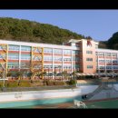 삼성여자고등학교 | 여학생들에게 인기만점 삼성여자고 마술공연 후기 MFC매직컴퍼니