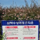 부산아이와함께가볼만한곳 부산지역별특화해양레포츠육성사업
