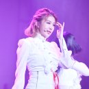 다미 - 중구 태화동 | 다미
