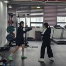 리얼복싱짐 | 동탄복싱 능동복싱 🔥 지방 태우는 진짜 운동, 복싱 여름 다이어트 준비 🥊 센트럴복싱짐