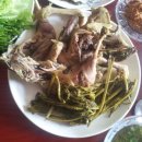 시골옻닭 이미지