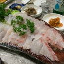 태국 파타야 맛집 한식당 샘터 다금바리 횟집