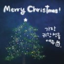 메리 크리스마스 콘서트 이미지