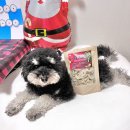 복실방앗간 | 강아지 과자 추천 노즈워크 수제간식 복실방앗간 오사케칩 후기