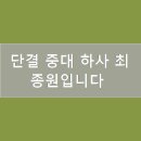 써니상사 이미지