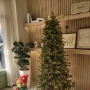 일산로 | 백마학원가 몽모랑시(montmorency) 빵집