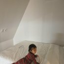 스테이 서하 이미지