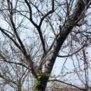 삼사석 | 제주 일주일 여행: 제2일(2024.3.24./ 화북동: 삼사석, 별도봉, 곤을동4.3유적지, 화북포구, 해신사...