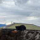 신창유유희 이미지