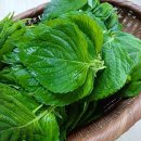 둔둔농장 이미지