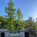 인천남동승마클럽 | 인천 승마 배우기 [남동승마클럽] 호스피아 신청 후기