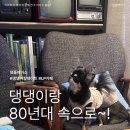 레트로카페 | 댕댕이랑 80년대 속으로~! 애견동반 레트로 LP 카페 후기 정원이있는국민책방 송파점