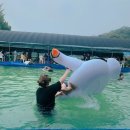 청학2리 | [경기남양주] 서울근교 남양주 물놀이장 &#39;헤라수영장&#39; 후기 (주차, 대중교통, 음식 비용, tip 등)