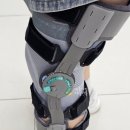 동성 보조기 이미지