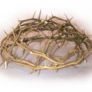 수원가톨릭대학교 대학원 이미지