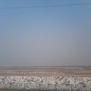 중앙 골프장 이미지