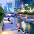 라인댄스 중급 이미지