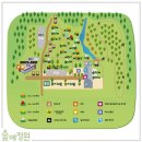 캠핑숲 이미지